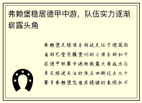 弗赖堡稳居德甲中游，队伍实力逐渐崭露头角